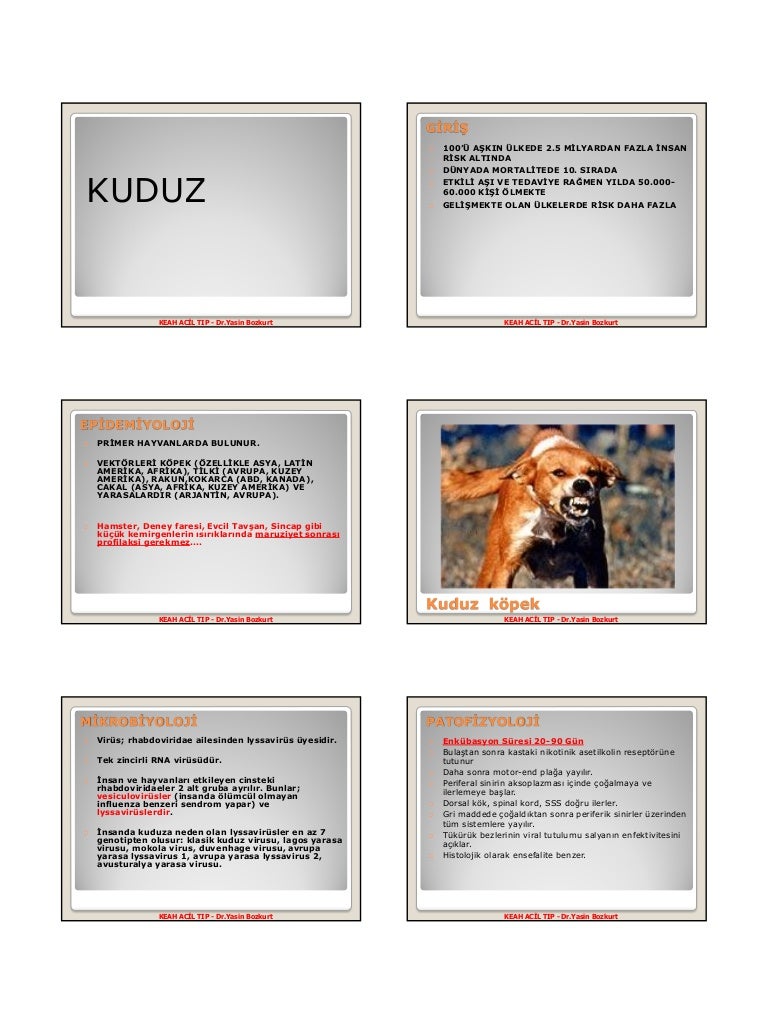 İnsanlarda kuduz belirtileri İnsanlarda kuduz belirtileri